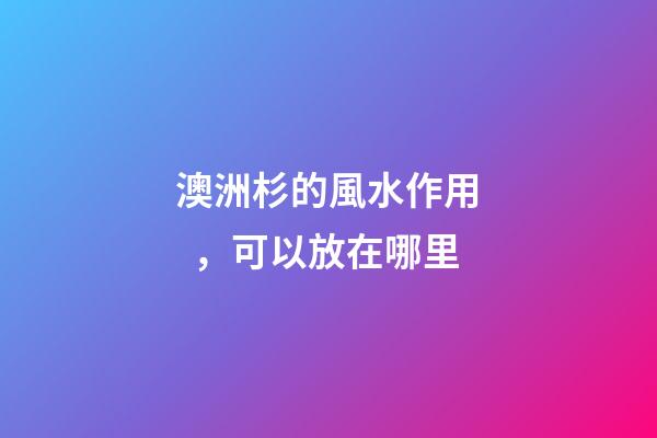 澳洲杉的風水作用，可以放在哪里